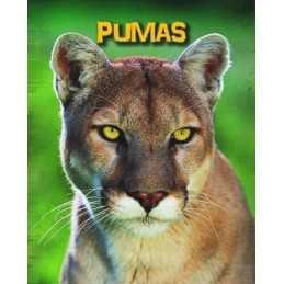 Pumas (Living in the Wild: Big Cats) by Charlotte Guillain Book  Fast
