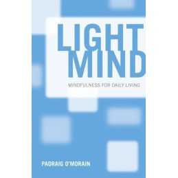 Light Mind: How Mindfulness Can Enhance Your Da... by Padraig OMorain Paperback