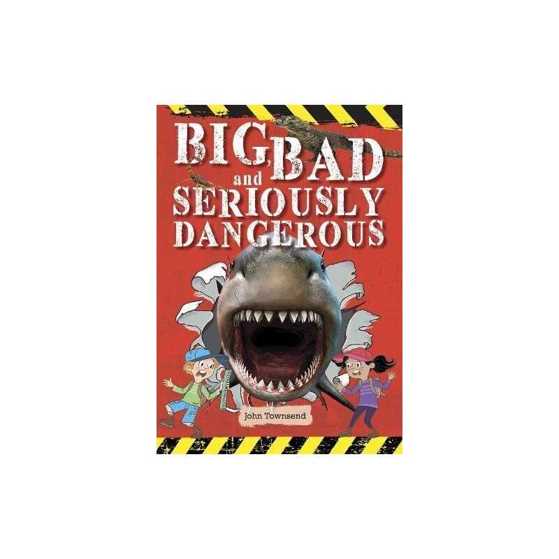 Reading Planet KS2 - Big, Bad and Se..., Townsend, John