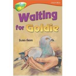 Oxford Reading Tree: Waiting for Goldie: Stage 13: T... by Susan Gates Paperback