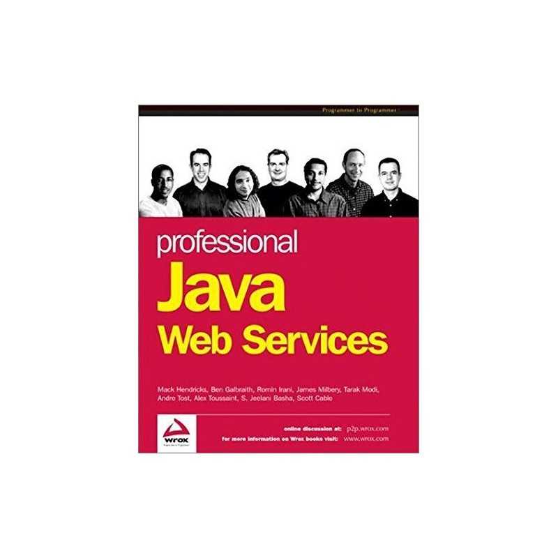 Professional Java Web Services, Toussaint, Alex