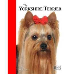 Yorkshire Terrier - Best of Breed by Brenda Pipes Hardback Book  Fast