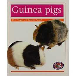 PM Non Fiction Animal Facts Level 14/15&16 Pet... by Randell, Beverley Paperback