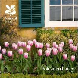 Polesden Lacey: Surrey (National Trust Guidebooks) by Vicky Bevan Book