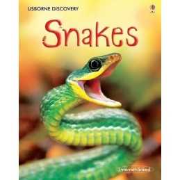 Snakes (Usborne Discovery) by Jonathan Sheikh-Miller Hardback Book