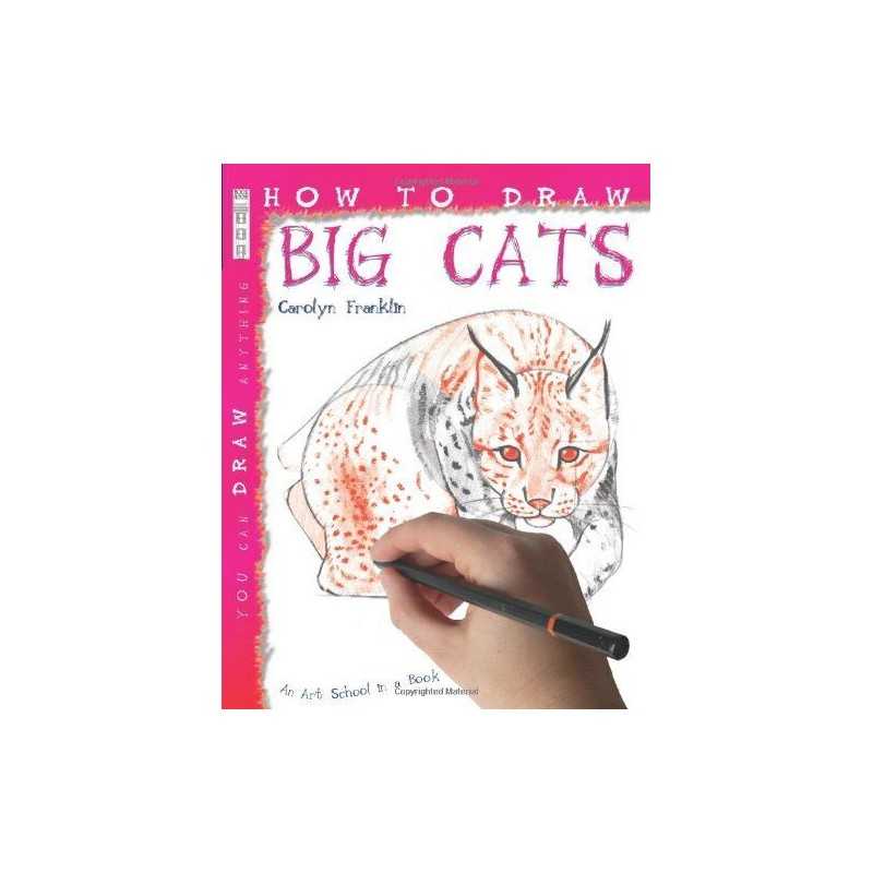 How to Draw Big Cats by Carolyn Franklin Paperback Book