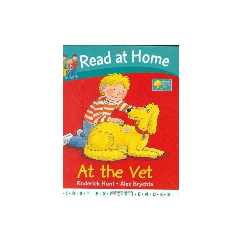 At the Vet (Read at Home: First Experiences) by Young, Annemarie Hardback Book