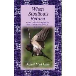 When Swallows Return: A Third Collection o... by Mari Jones Paperback / softback