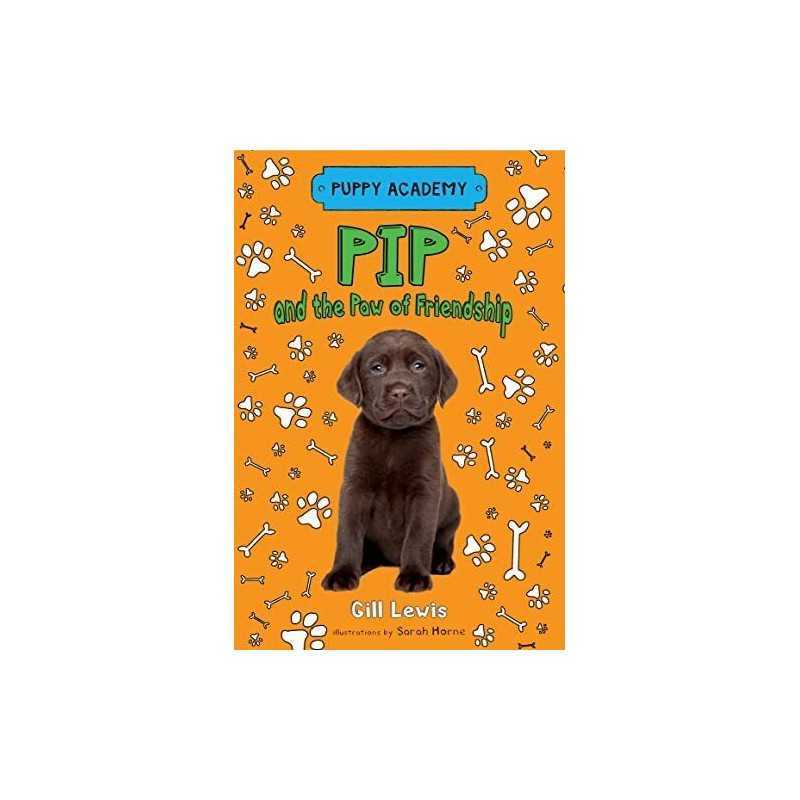 Pip and the Paw of Friendship: 3 (Puppy Academy) by Lewis, Gill Book