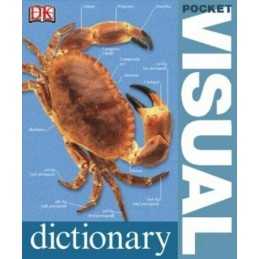 Pocket Visual Dictionary by DK, DK Paperback Book