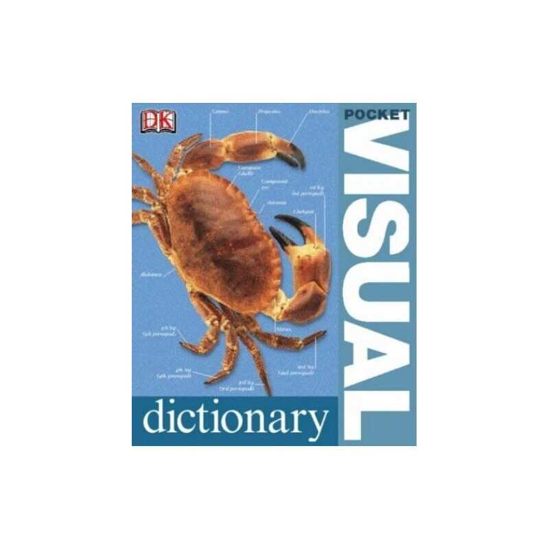 Pocket Visual Dictionary by DK, DK Paperback Book