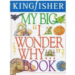 My Big I Wonder Why... Book by Anon Hardback Book