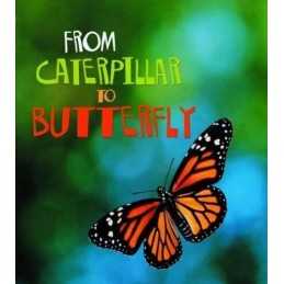 From Caterpillar to Butterfly (Young E..., Anita Ganeri