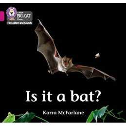 Is it a Bat?: Band 01B/Pink B (Coll..., McFarlane, Karr