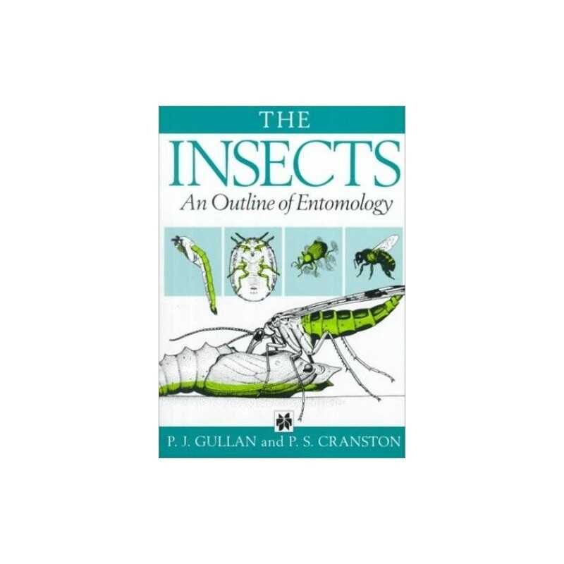 Insects : An Outline of Entomology by Gullan, P. J. Paperback Book