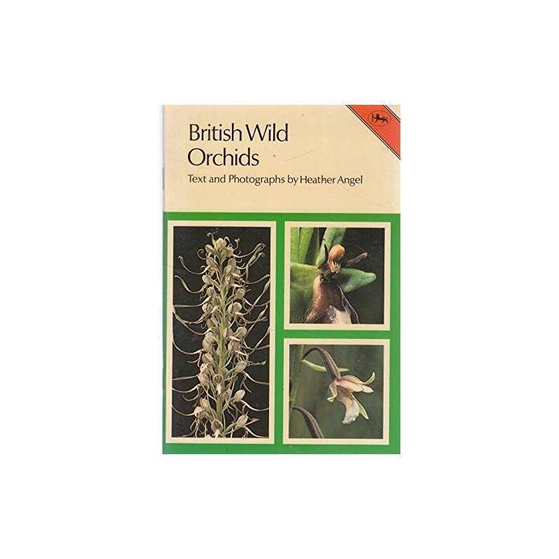 British Wild Orchids (Cotman-color), Angel, Heather