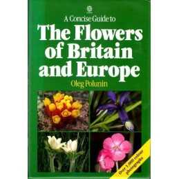 A Concise Guide to the Flowers of Britain a... by Wright, Robin Southe Paperback