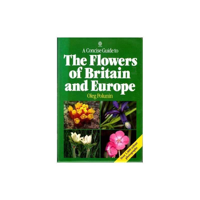 A Concise Guide to the Flowers of Britain a... by Wright, Robin Southe Paperback