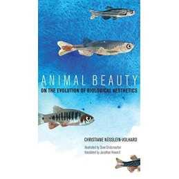 Animal Beauty: On the Evolution of ..., Christiane N?ss