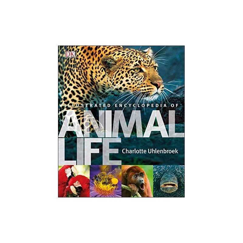 Illustrated Encyclopedia of Animal Life by Uhlenbroek, Charlotte Book