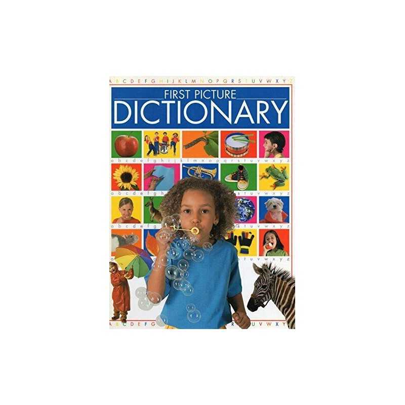 My First Picture Dictionary Book