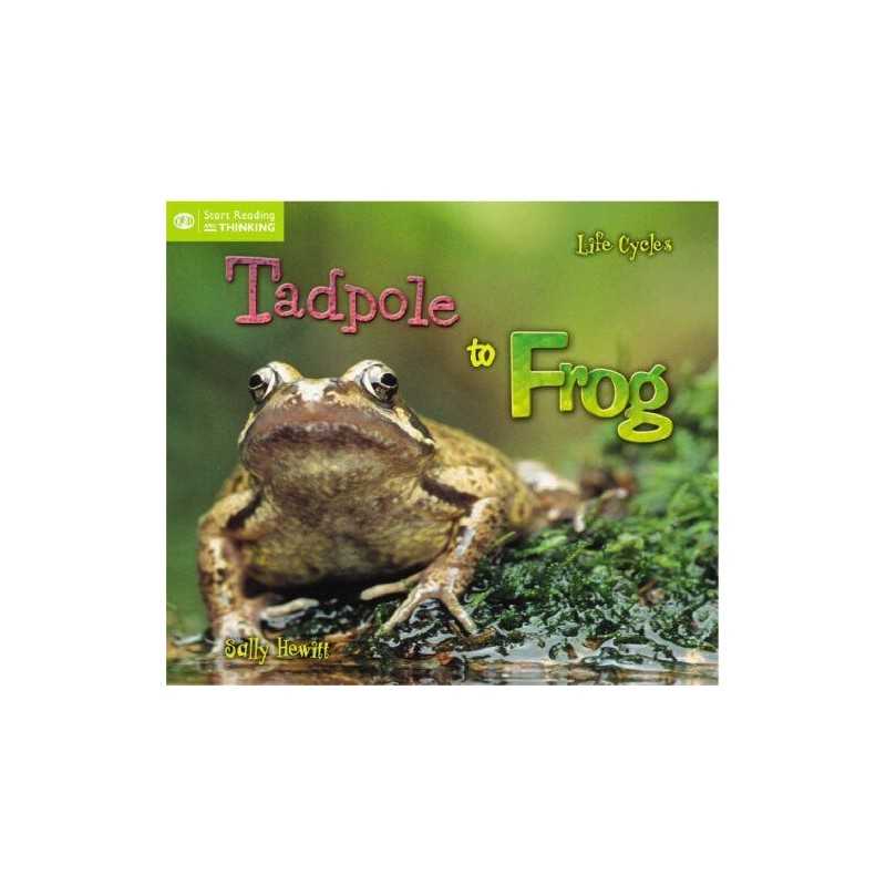 Life Cycles: From Tadpole to Frog (QED..., Sally Hewitt