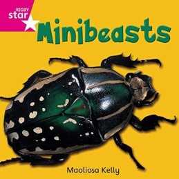Rigby Star Independent Pink Reader 2 Minibeasts Paperback Book  Fast