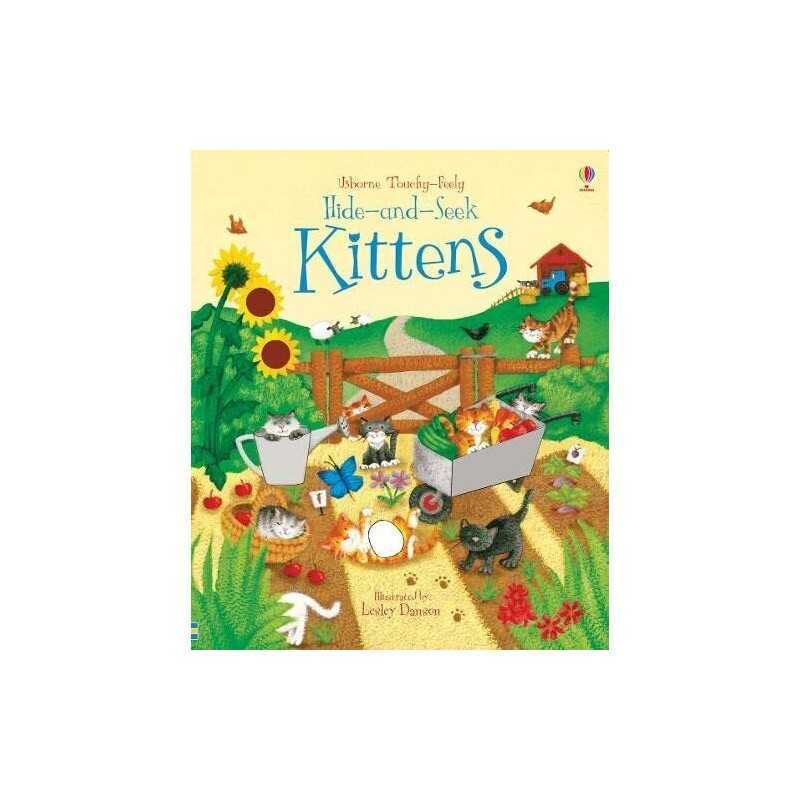 Kittens (Hide and Seek) by Watt, Fiona Board book Book