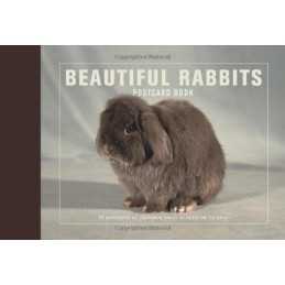 Beautiful Rabbits card Book: 30 ca... by Ivy Press card book or pack