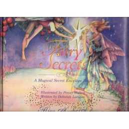 Fairy Secrets: A Magical Secret Envelope Book by Latimer, Deborah Book