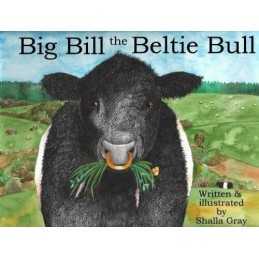 Big Bill the Beltie Bull by Shalla Gray Book