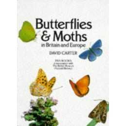 Butterflies and Moths in Britain and Europe by Carter, David Paperback Book The