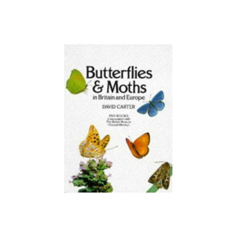Butterflies and Moths in Britain and Europe by Carter, David Paperback Book The