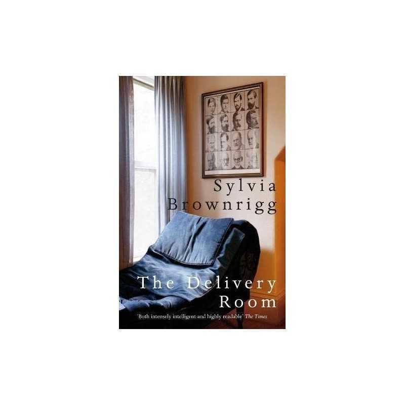 The Delivery Room by Brownrigg, Sylvia Paperback Book