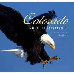 Colorado Wildlife Portfolio, Kline