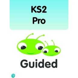 Bug Club Comprehension Y6 Picture B..., Prasadam-Halls,