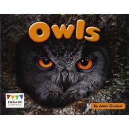 Owls (Engage Literacy Green), Giulieri, Anne