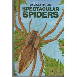 Spectacular Spiders