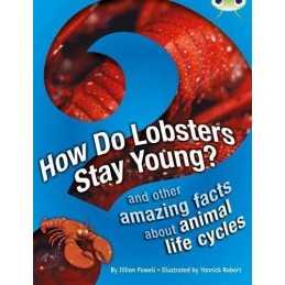 Bug Club Independent Non Fiction Ye..., Powell, Jillian