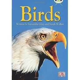 Birds by Walker, Sarah Book