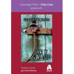 Help Llaw Gydag Astudio yn y Gwaed - Cymraeg TGAU by Menna Baines Book