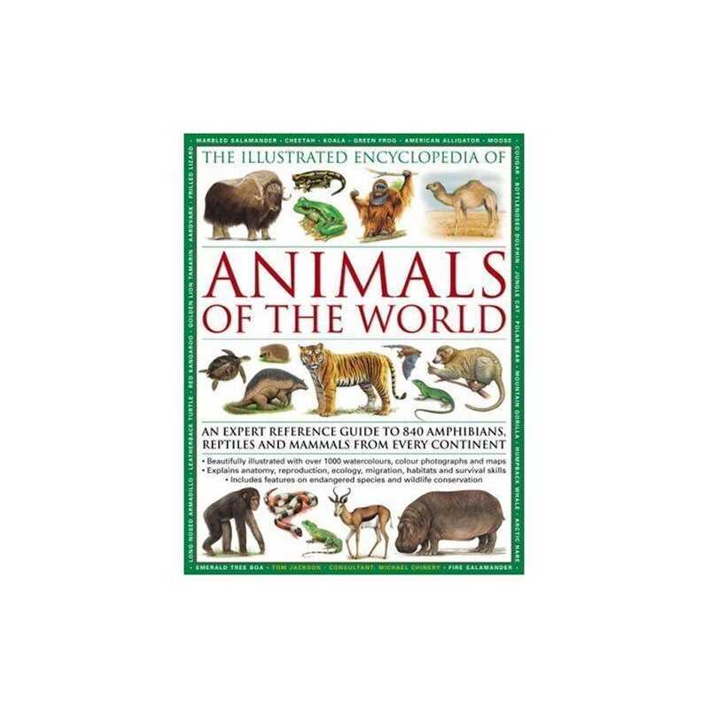 The Illustrated Encyclopedia of Animals of the World:... by Tom Jackson Hardback