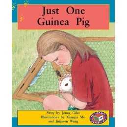 PM Level 15&16 Set B Mixed Pack X6 Orange: Just One ...