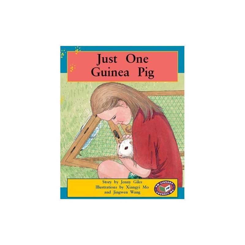 PM Level 15&16 Set B Mixed Pack X6 Orange: Just One ...