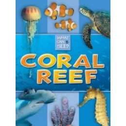Coral Reef (What Can I See) by TickTock Books Paperback Book