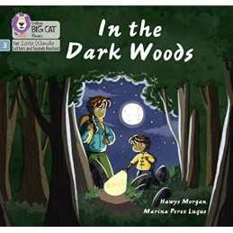 In the Dark Woods: Phase 3 Set 2 (Big..., Morgan, Hawys