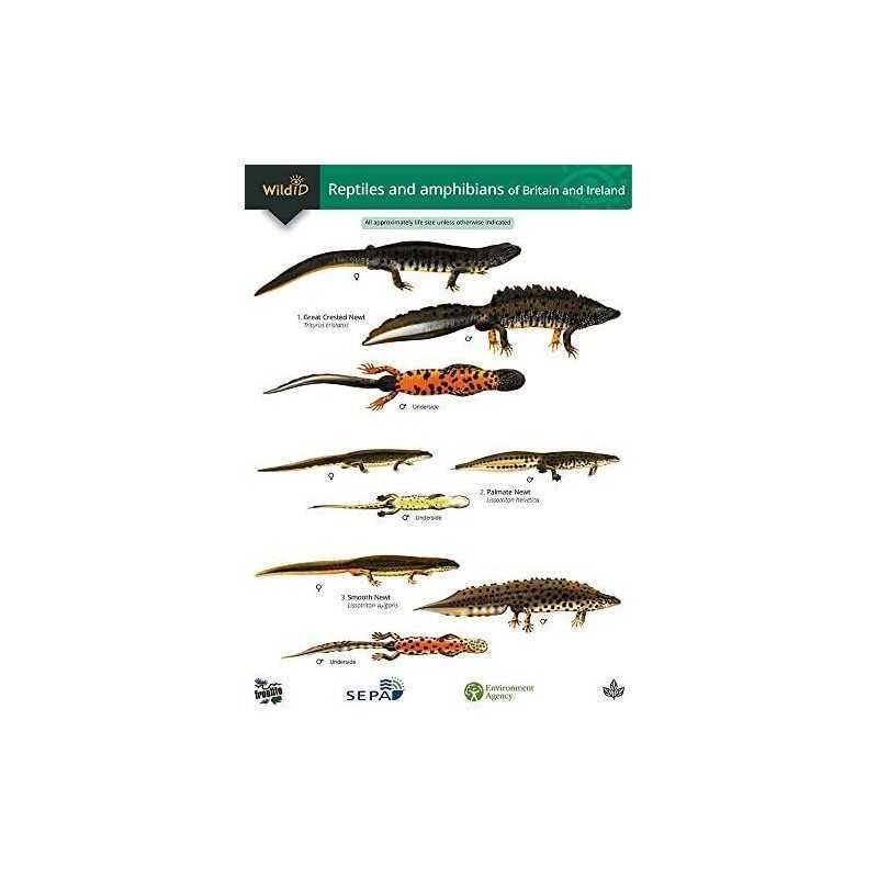 Guide to the Reptiles and Amphibians of B... by Roberts, Peter Sheet map, folded