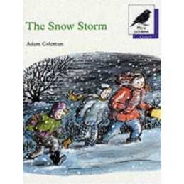 The Snow Storm (Oxford Reading Tree: Stage 11: Mor... by Coleman, Adam Paperback