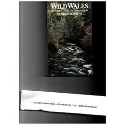 Wild Wales by Borrow, George Paperback Book