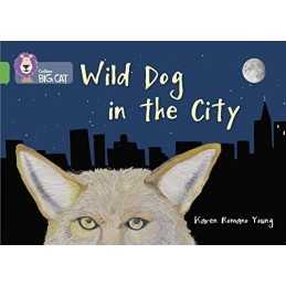 Wild Dog In The City: Band 05/Green (Collins Big Cat) Book